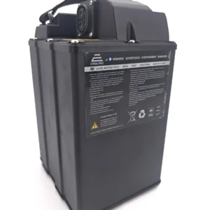 72V30Ah BATTERY - MINI R